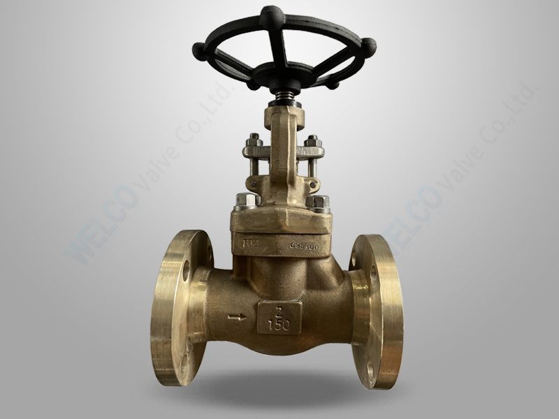 Ni-Al Bronze Globe Valve