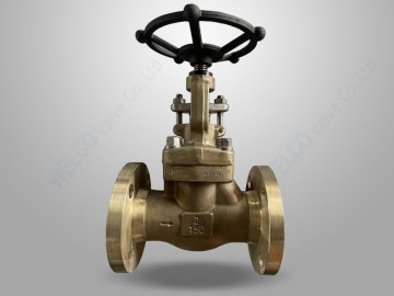Ni-Al Bronze Globe Valve