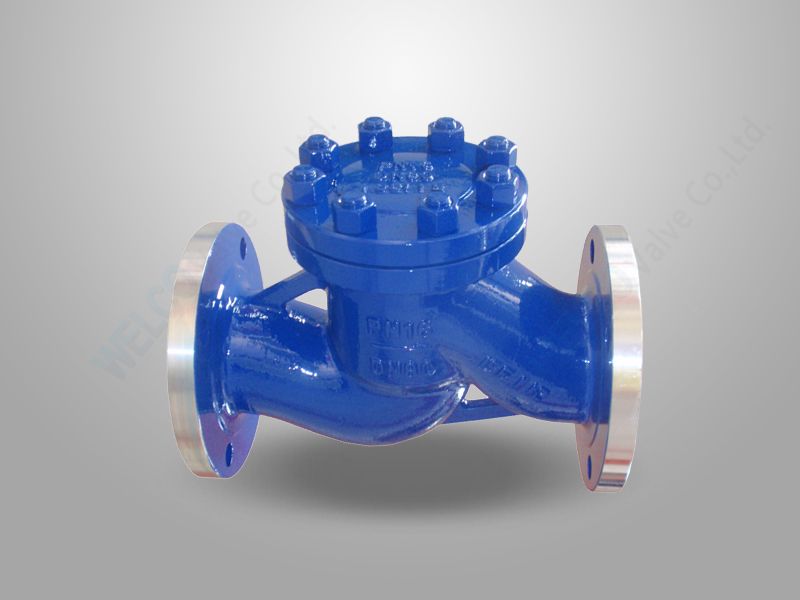Piston Type Check Valve