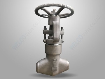 PSB Forged Steel Globe Valve