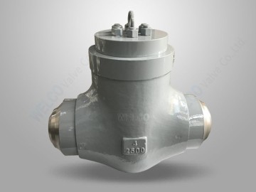 PSC Forged Steel Check Valve