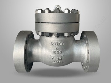 Stainless Steel Swing Check Valve