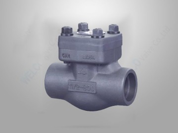 Swing Check Valve