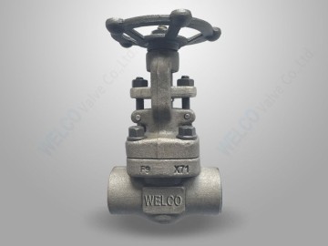 Alloy F9 Forged Steel Gate Valve