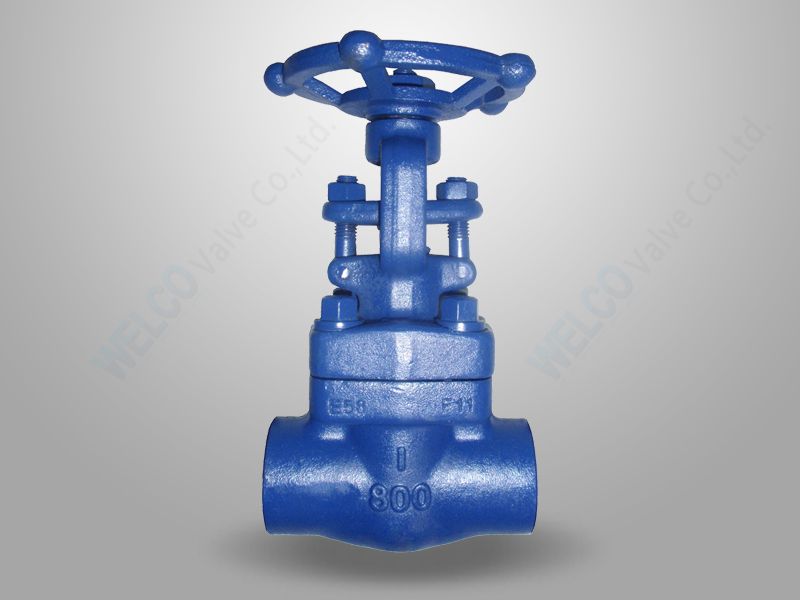 Alloy Steel F11 Gate Valve
