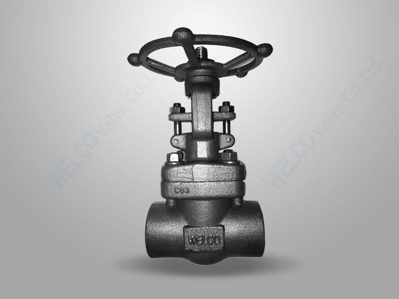 API 602 Forged Steel Gate Valve