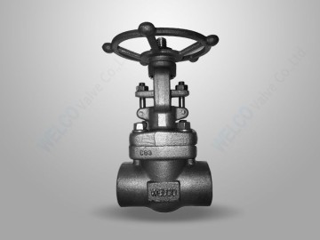 API 602 Forged Steel Gate Valve