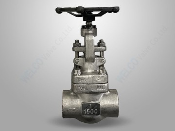 Class 900-1500 Forged Steel Globe Valve
