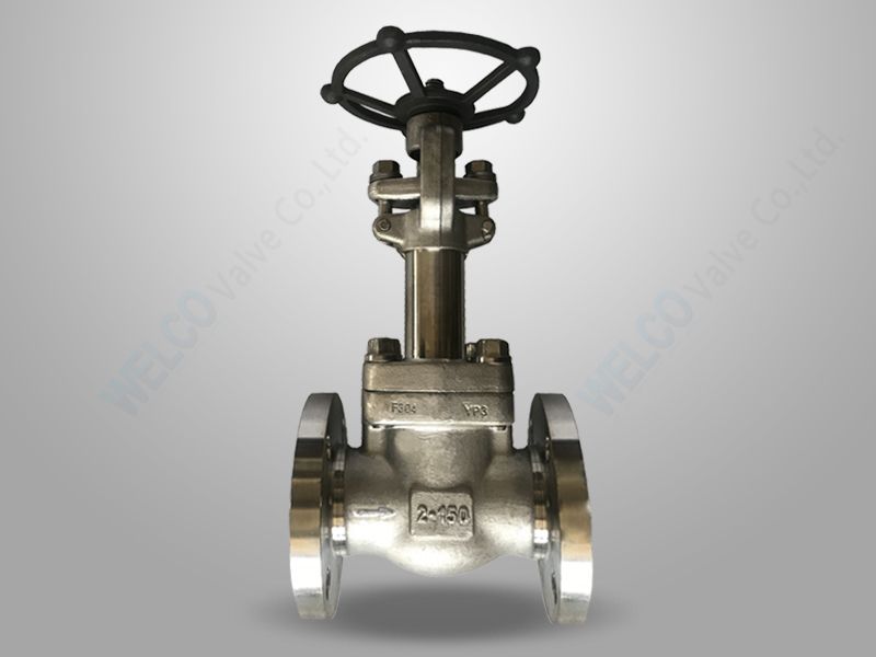 Cryogenic Service Forged Globe Valve