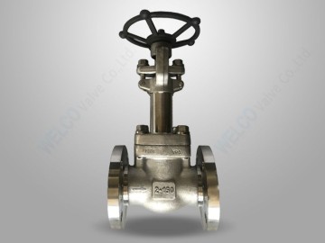 Cryogenic Service Forged Globe Valve