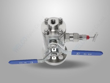 Flanged Threaded DBB Valve