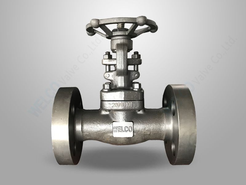 Integral Flanged Gate Valve