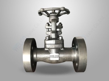Integral Flanged Gate Valve