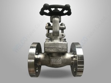Integral Flanged Stainless Steel Gate Valve