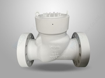 PSB Full Bore Check Valve
