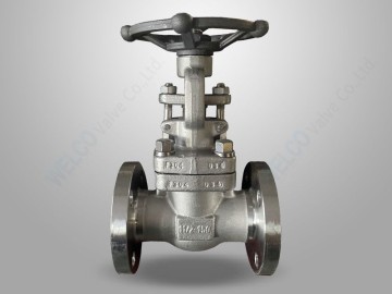 Stainless Steel Forged Steel Gate Valve
