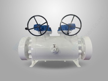 Trunnion Mounted DBB Valve