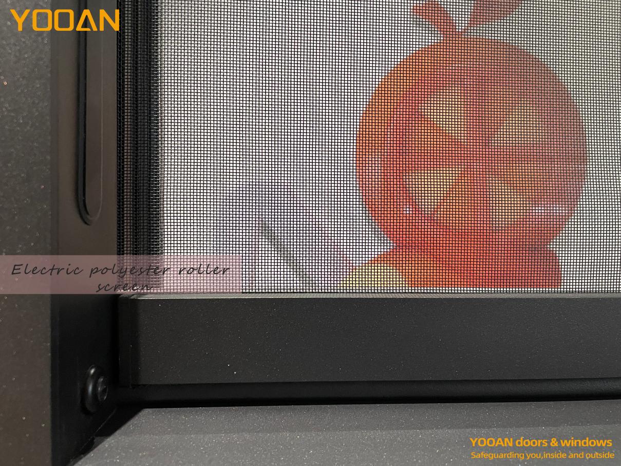 图4 Black mosquito net Electric window(1).jpg