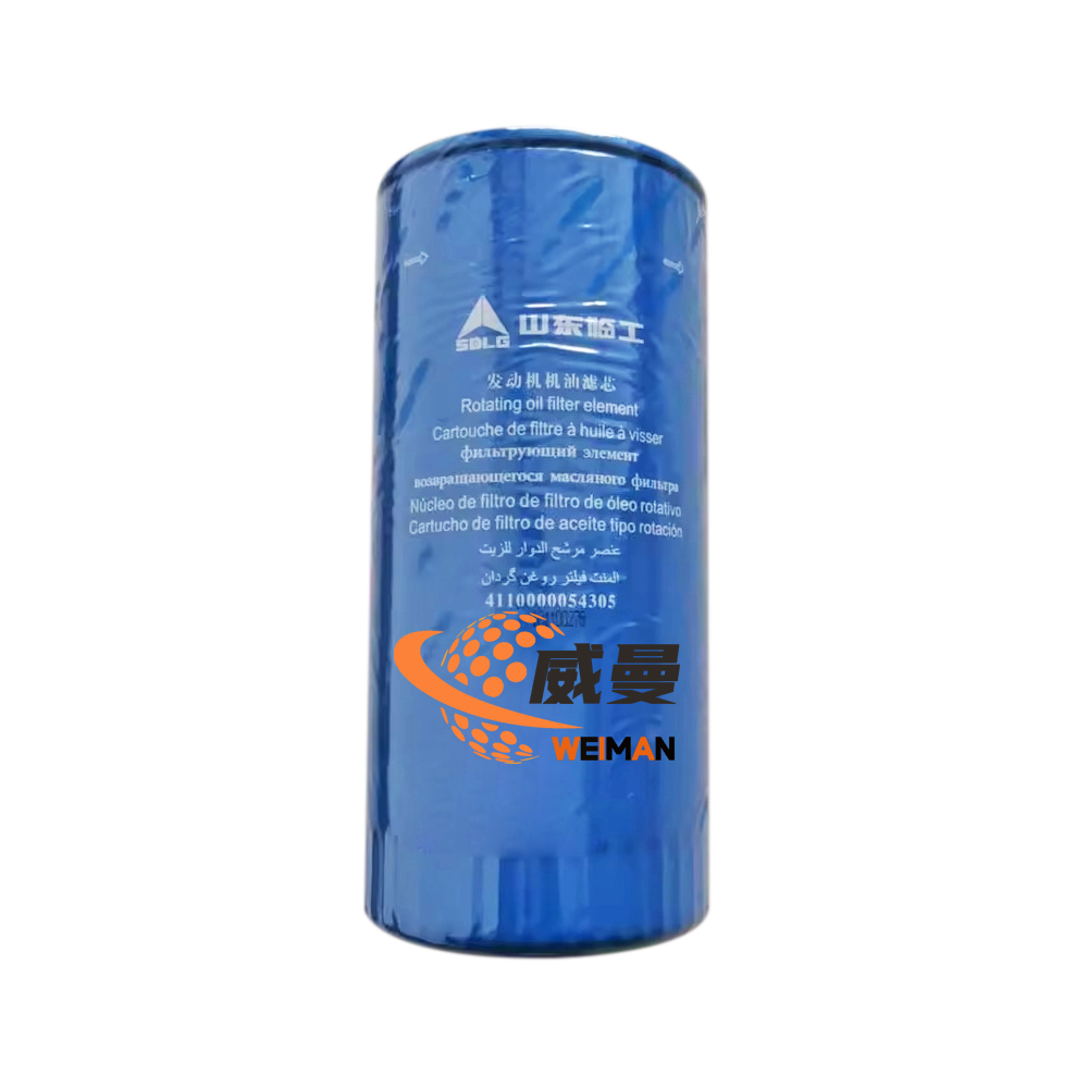 filter oli 4110000054305 3