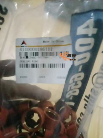 ORIGINAL SDLG 4110000186111 Ring C04AL-9Y1798+A for LG Wheel Loader with good price