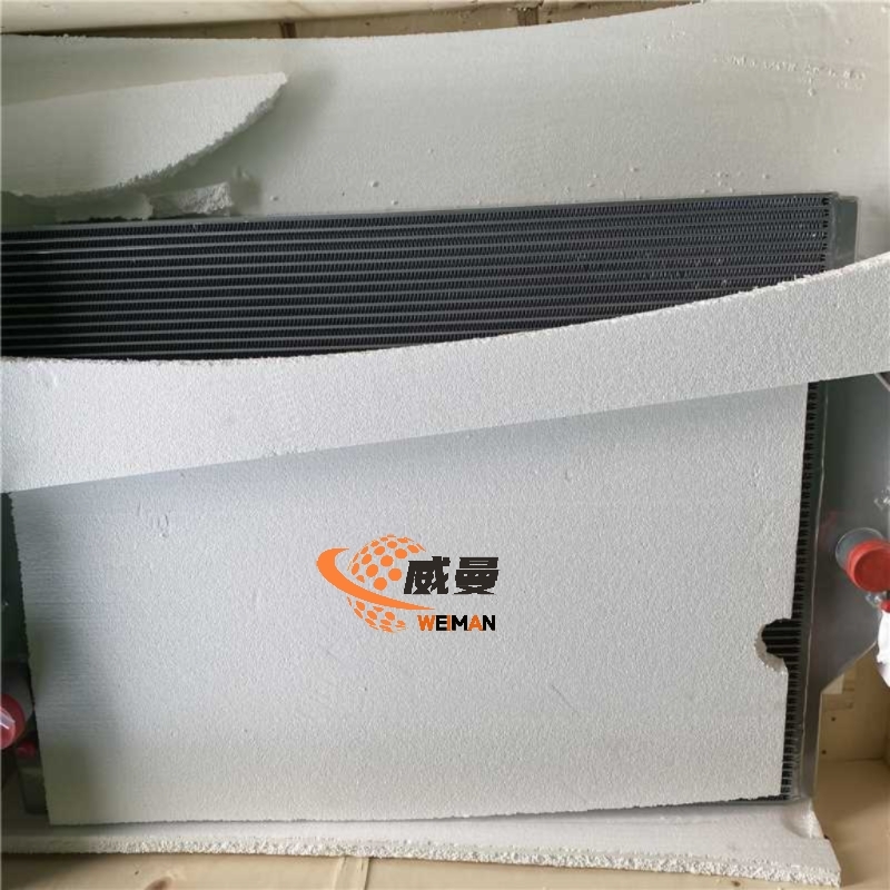 LGMG  4110001925 Water Radiator Assembly  for machine with Good Quality and Price