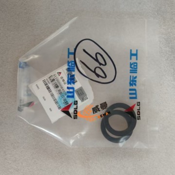 SDLG 4110000084028 Gasket 0.01kg for machine with Good Quality and Price