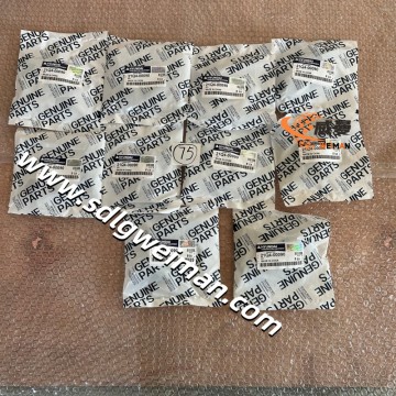 Kunci Hyundai 21Q4-00090 untuk Excavator Hyundai R140LC9 R140W9