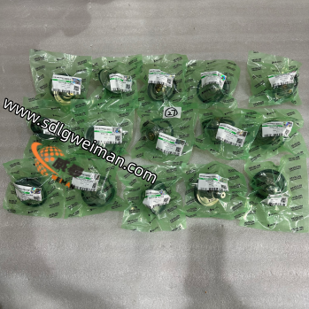 TERMOSTAT DOOSAN & DEVELON 300738-00084