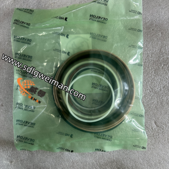 DOOSAN & DEVELON 401107-00298A KIT SEGEL EMBER
