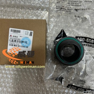Galas Biasa Sfera SDLG ASLI 4021000289 Mohon untuk Penggredan Motor SDLG G9190 G9200 G9220