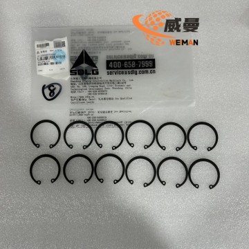 SDLG 4110000970006 CINCIN PENAHAN UNTUK EKSKAVATOR KUALITAS TINGGI-1