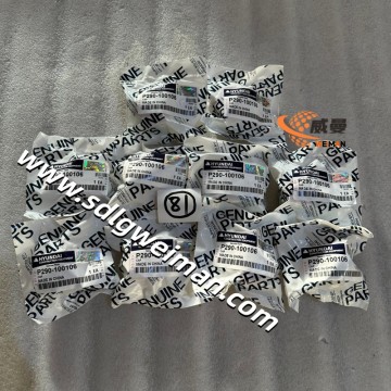 Tutup Busi Hyundai P290-100106 untuk Excavator Hyundai R160LC-3