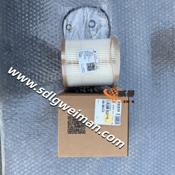 Penapis bahan api SDLG inse J11220925 untuk penggali SDLG E6210F E6300F