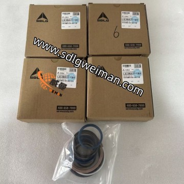 ORIGINAL SDLG  SEALING RING KIT   4120004767010 APPLY FOR SDLG  GRADER G9165/G9180/G9190/G9200/G9220