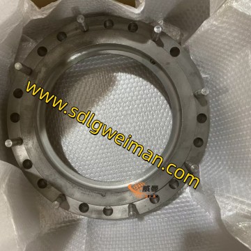 ORIGINAL SDLG 2030900029 SEPARATOR For Wheel Loader.