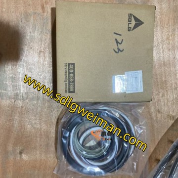 ORIGINAL SDLG 4120009098003 Repair kit For Wheel Loader.