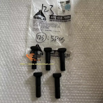 ORIGINAL SDLG SCREW 26200001041 APPLY FOR SDLG MOTOR GRADER G9180 G9190 G9200