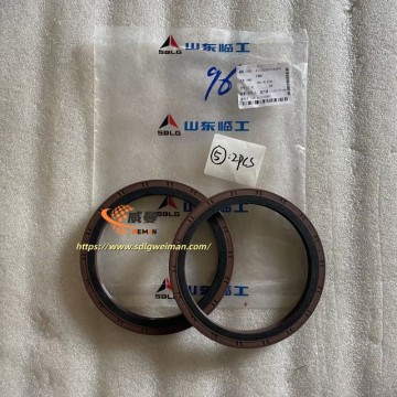 ORIGINAL SDLG SEALING RING 4110000556060 APPLY FOR SDLG WHEEL LOADER LG978 L978F L975F