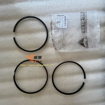 ORIGINAL SDLG Piston Ring 4110000556066 APPLY FOR SDLG WHEEL LOADER LG978 L978F L975F