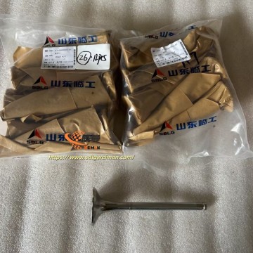 ORIGINAL SDLG Exhaust Valve 4110000556145 APPLY FOR SDLG WHEEL LOADER LG978 L978F L975F