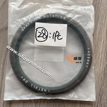 CAT 1425867 SEAL for CAT machine With Good Price