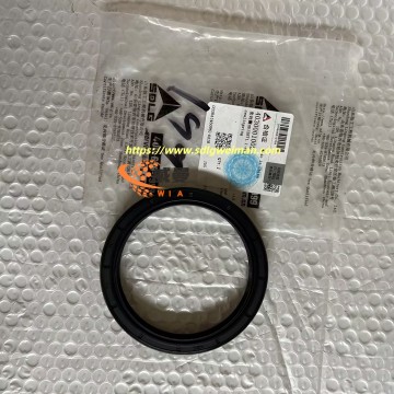 ORIGINAL SDLG SEALING RING 4030001002 APPLY FOR SDLG MOTOR GRADER G9180 G9190 G9200