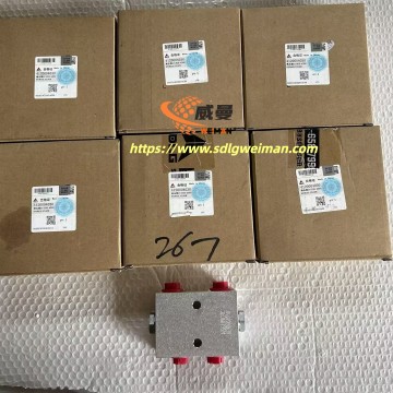 ORIGINAL SDLG Hydraulic Lock 4120004030 APPLY FOR SDLG MOTOR GRADER G9180 G9190 G9200