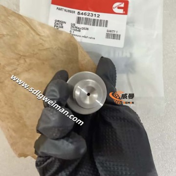 Pressure Relief Valve 5462312 for Cummins engine parts