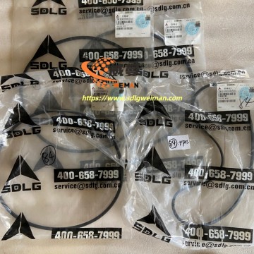 ORIGINAL SDLG Sealing Ring 28100008201 APPLY FOR SDLG MOTOR GRADER G9165 G9180 G9190 G9220