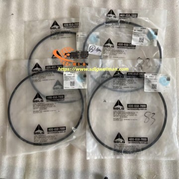 ORIGINAL SDLG Sealing Ring 29070021001 APPLY FOR SDLG MOTOR GRADER G9165 G9180 G9190 G9220