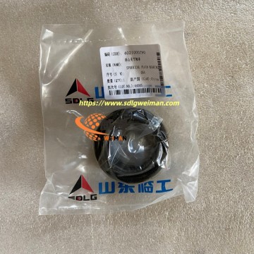 ORIGINAL SDLG Spherical Plain Bearing 4021000290 APPLY FOR SDLG MOTOR GRADER G9180 G9190 G9200