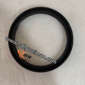 ORIGINAL SDLG Sealing Ring, Part No.4110002708 For Wheel loader.-1