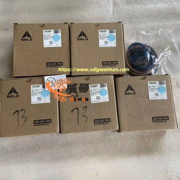 ORIGINAL SDLG 4120004762016 SEALING RING KIT APPLY FOR SDLG MOTOR GRADER G9165 G9180 G9190 G9220