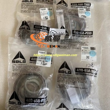 ORIGINAL SDLG SEALING KIT 4120020161004 APPLY FOR SDLG MOTOR GRADER G9165 G9180 G9190 G9220